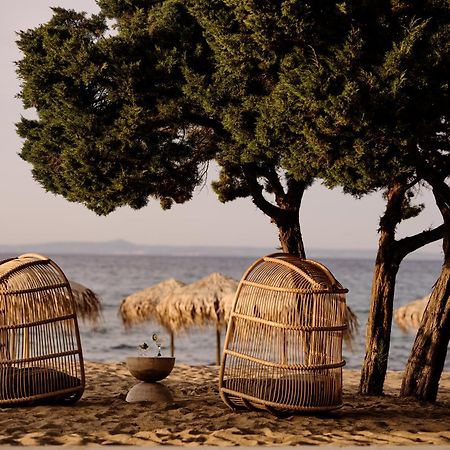 Cove Paros Hotel Náousa Eksteriør billede
